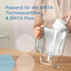 Brita Wasserfilter-Kartusche Maxtra Pro All-in-1 2er Pack -Grohe Store 4006387122003 2981 AI 07